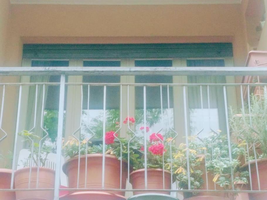 Apartament Ampi Spazi, A Piedi In Centro. Treviso Zewnętrze zdjęcie