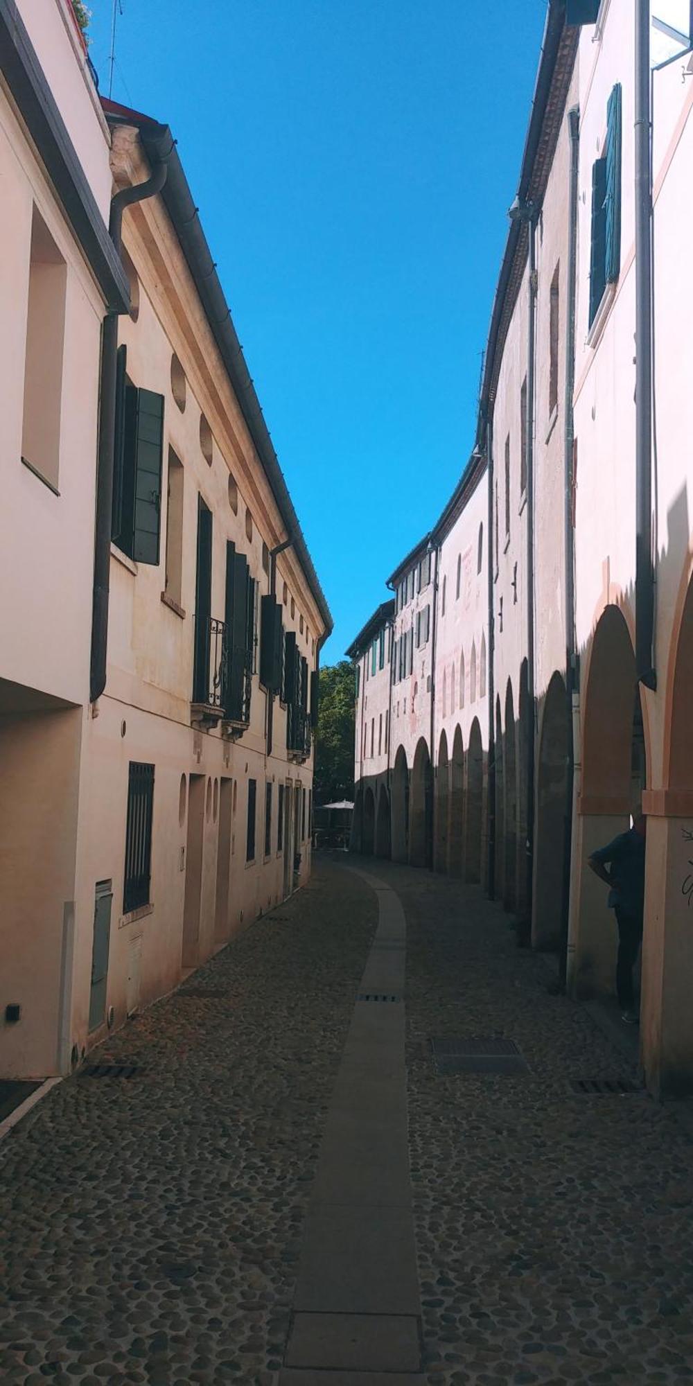 Apartament Ampi Spazi, A Piedi In Centro. Treviso Zewnętrze zdjęcie
