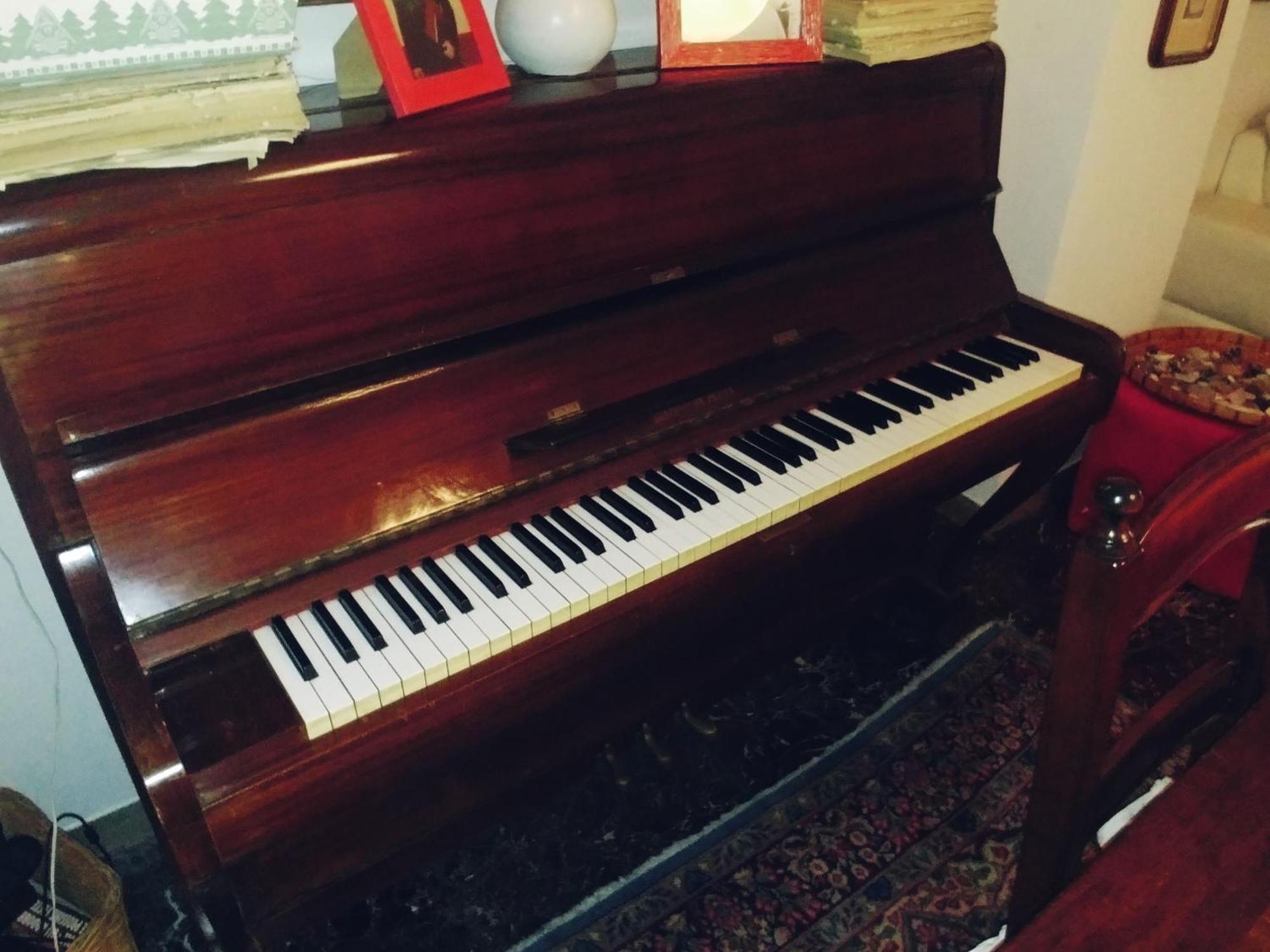 Apartament Ampi Spazi, A Piedi In Centro. Treviso Zewnętrze zdjęcie